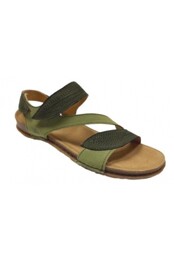 El Naturalista Panglao - Panglao_5810S_Liken_Kaki